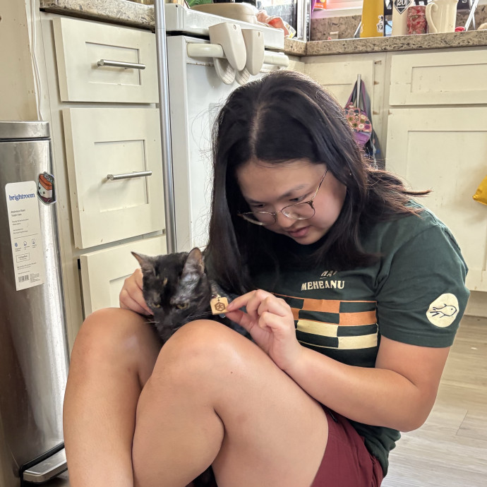 Caring And Calm In-Home Cat Sitter