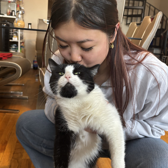 Patient Cat Lover Sitter