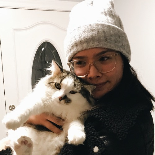 Zoe's Purrfect Pets photo 3