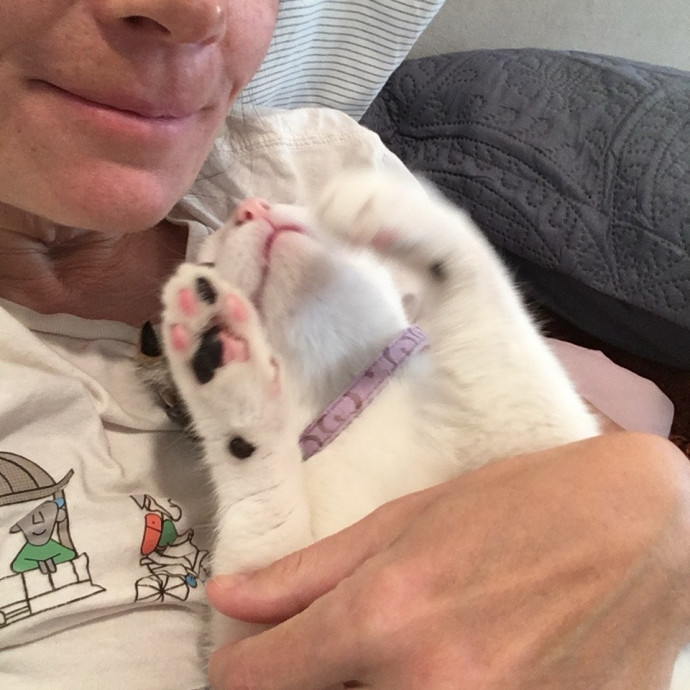 Calm And Reliable Cat Lady