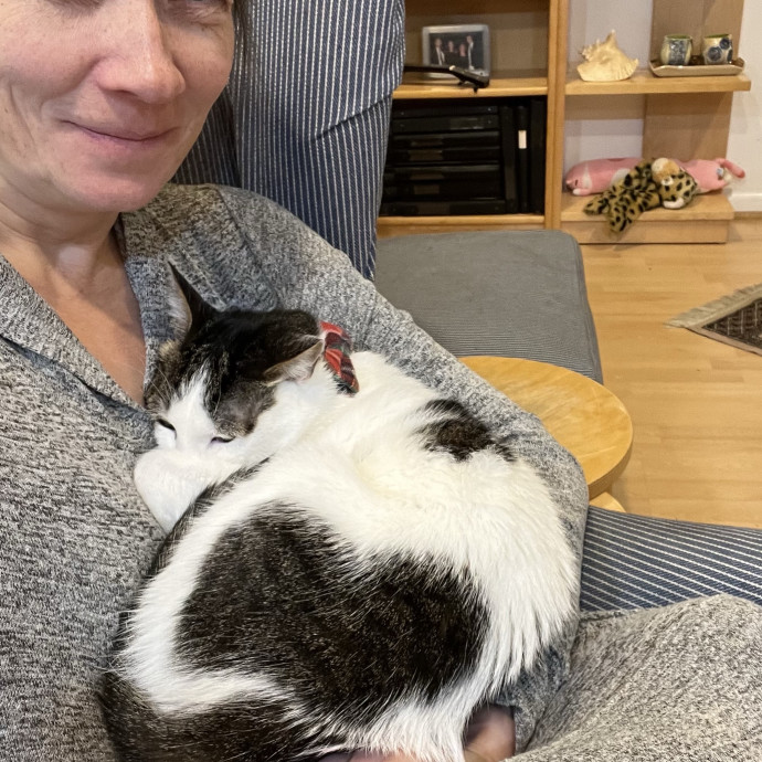 Calm And Reliable Cat Lady