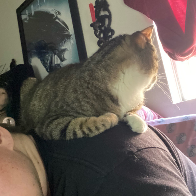 Rad Cat Dad