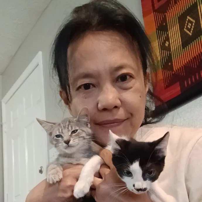 Cats Is Life Meowcare