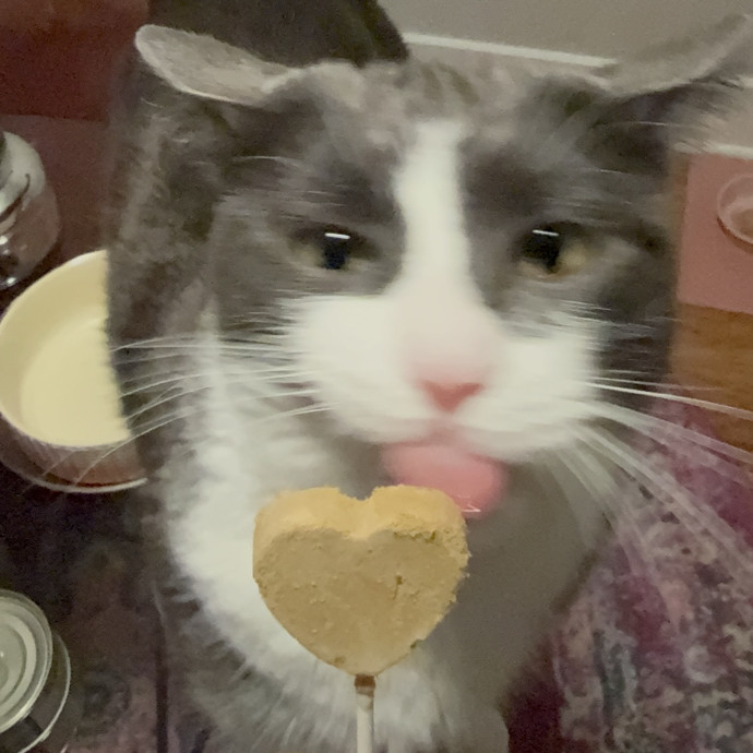 Lain The Cat Mom