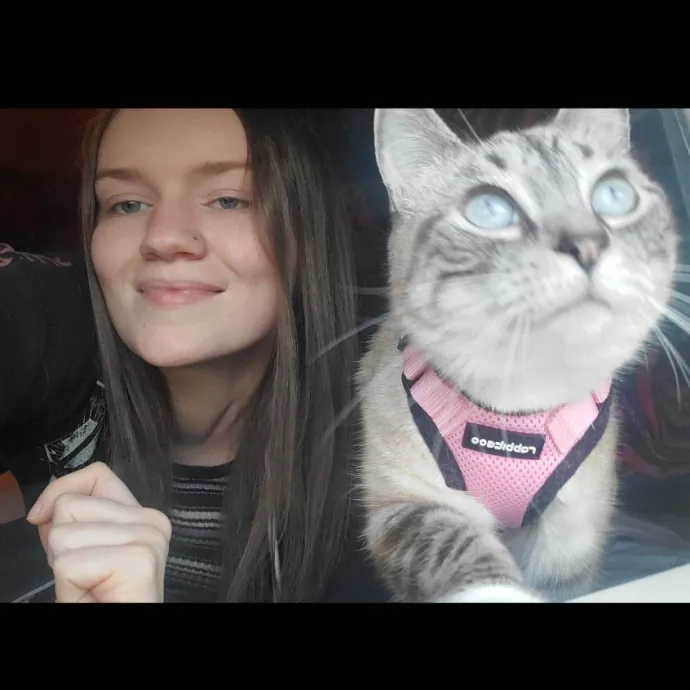 Colene's Cat Sitting Services