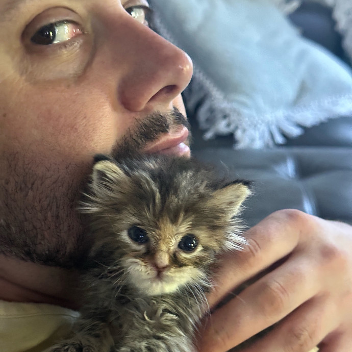 Lifelong Cat Dad