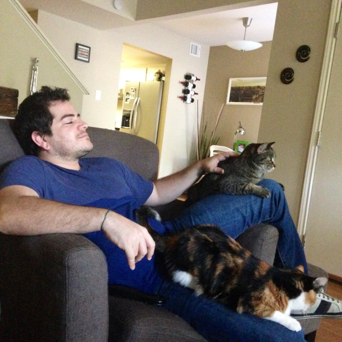 Gentle Trustworthy Cat Enthusiast photo 3