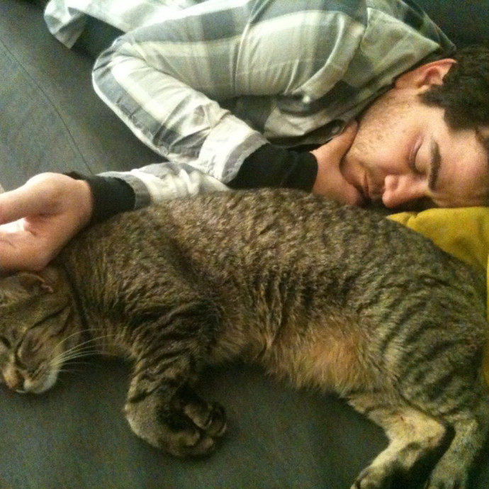 Gentle Trustworthy Cat Enthusiast photo 2