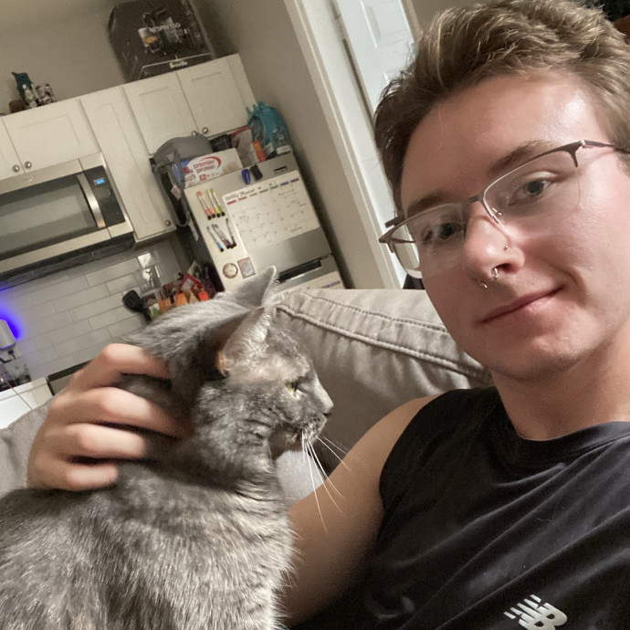 Luke's Feline Friends photo 2