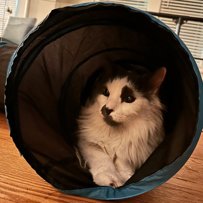 Here To Help You Avoid Catastrophe
