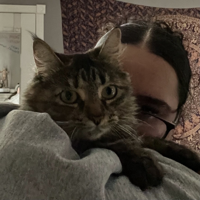 The Purrfect Kitty Sitter