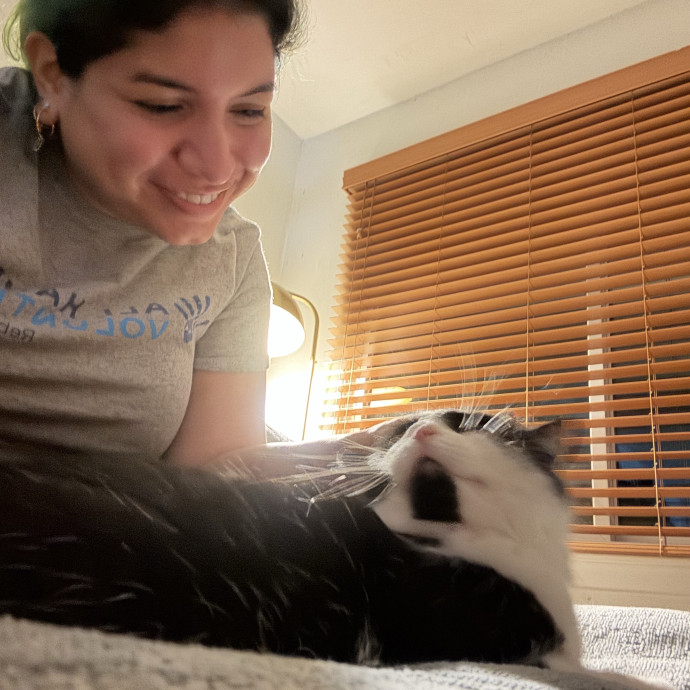 Your New Cat Auntie Tiffa