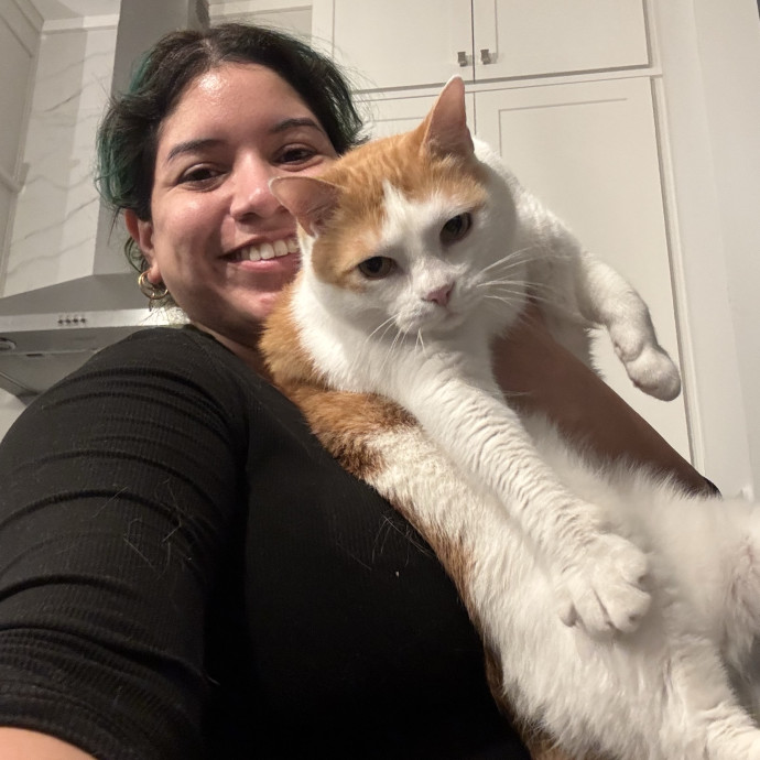 Your New Cat Auntie Tiffa