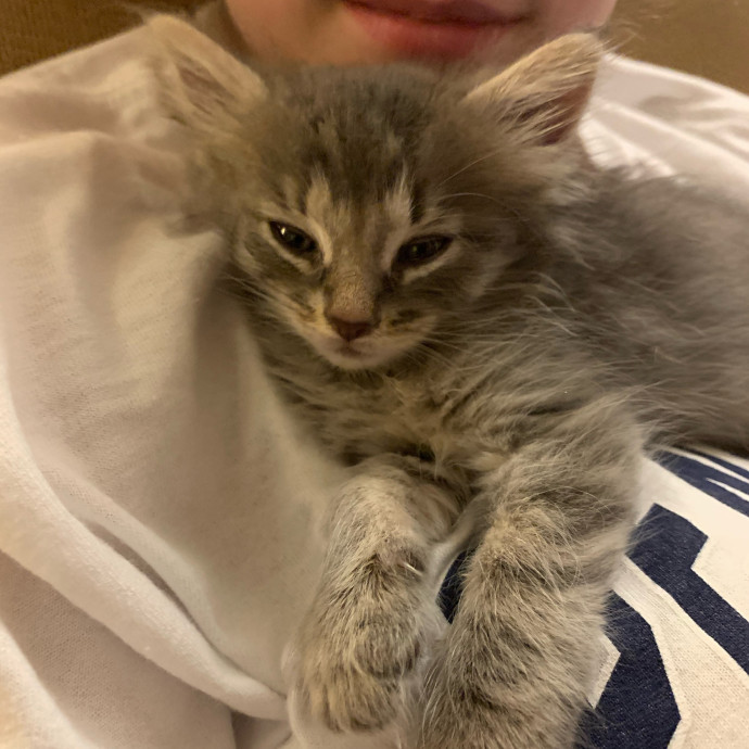 Experienced Cat Whisperer photo 2