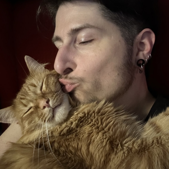 Bmore Catsitting Made Ez With Eli
