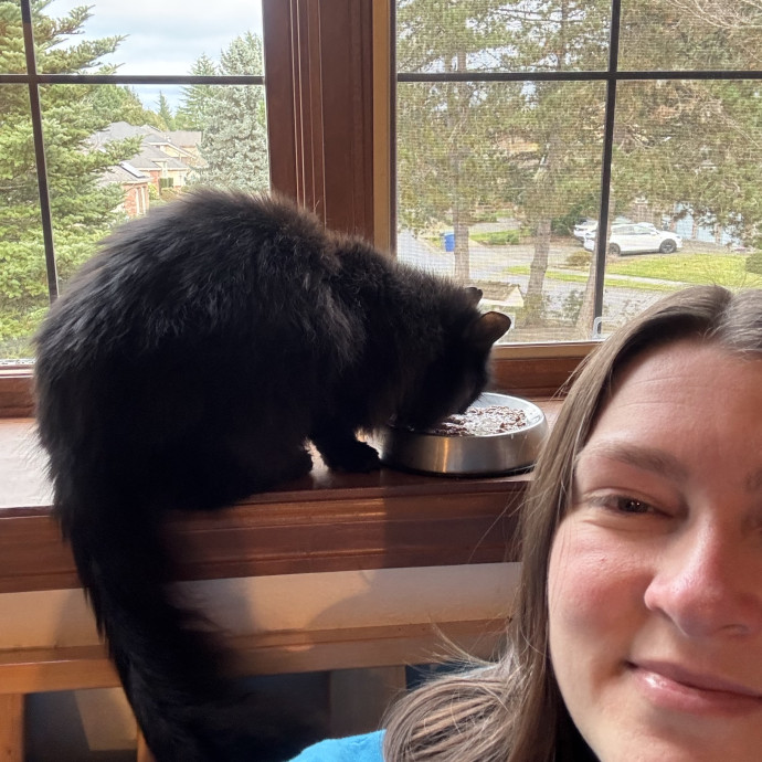 Experienced Pet Sitter And Cat Mom