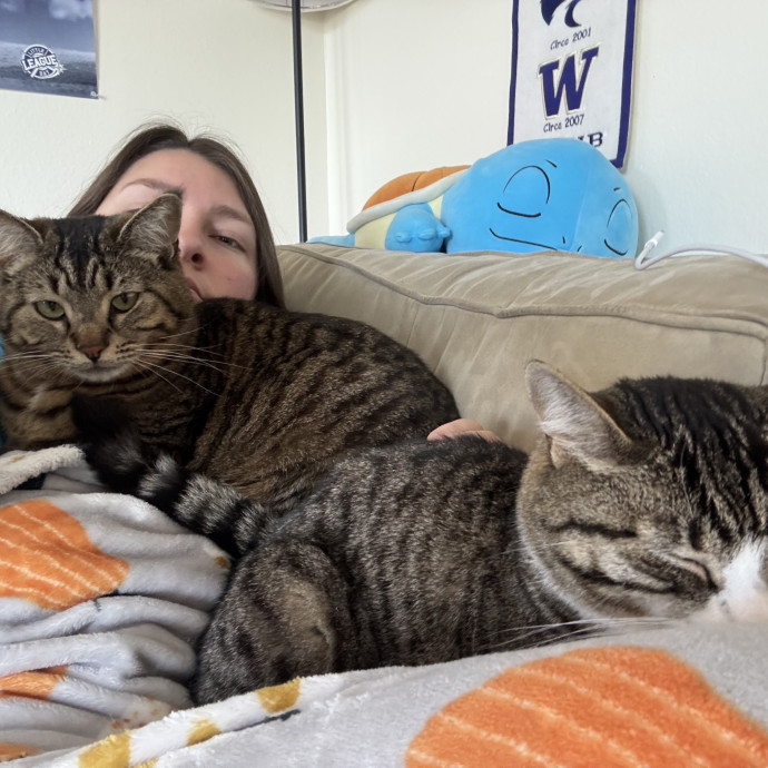 Experienced Pet Sitter And Cat Mom photo 2