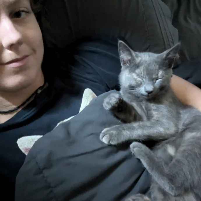 Paws And Purritos Pet Pals - Kitty Kare