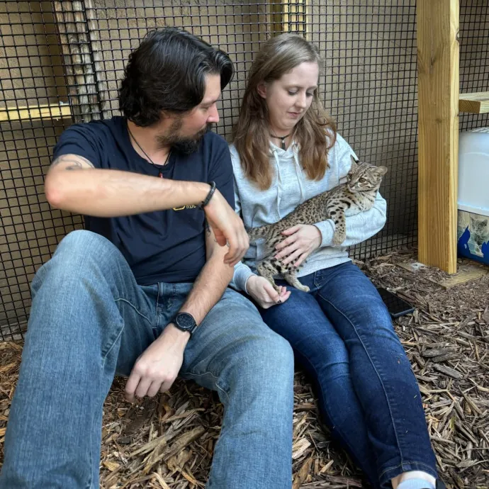 Paws And Purritos Pet Pals - Kitty Kare photo 2