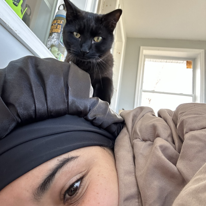 Whimsical Whiskers Cat Sitting By Anabel