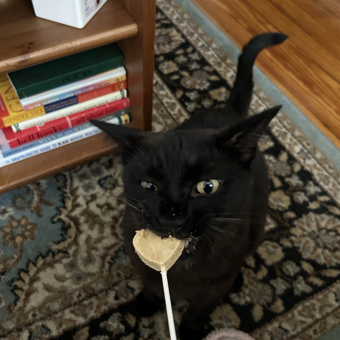 Whimsical Whiskers Cat Sitting By Anabel photo 3