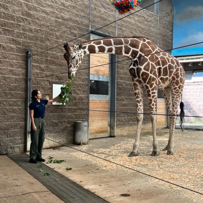 Former Zookeeper Turned Your Cat Sitter photo 3