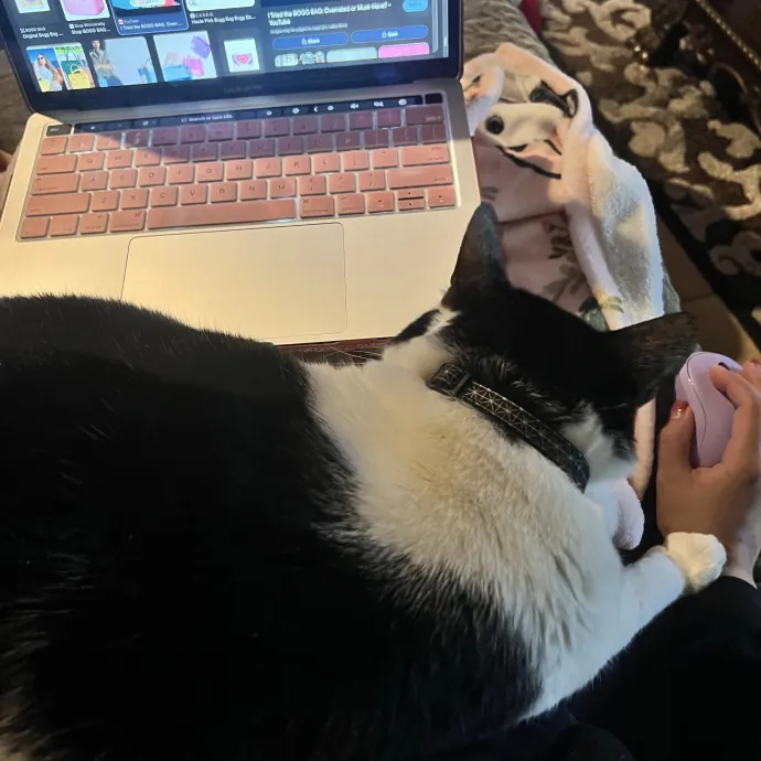 Vet Tech Who Loves Cats