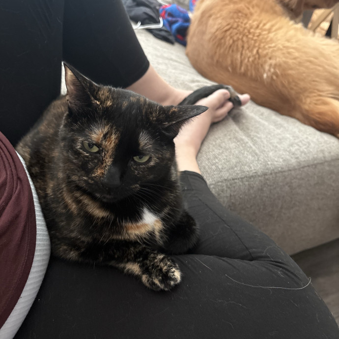 Trusted Local Pet Care