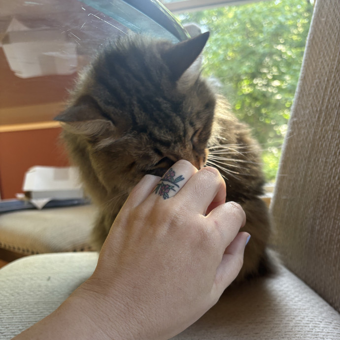 Trusted Local Pet Care