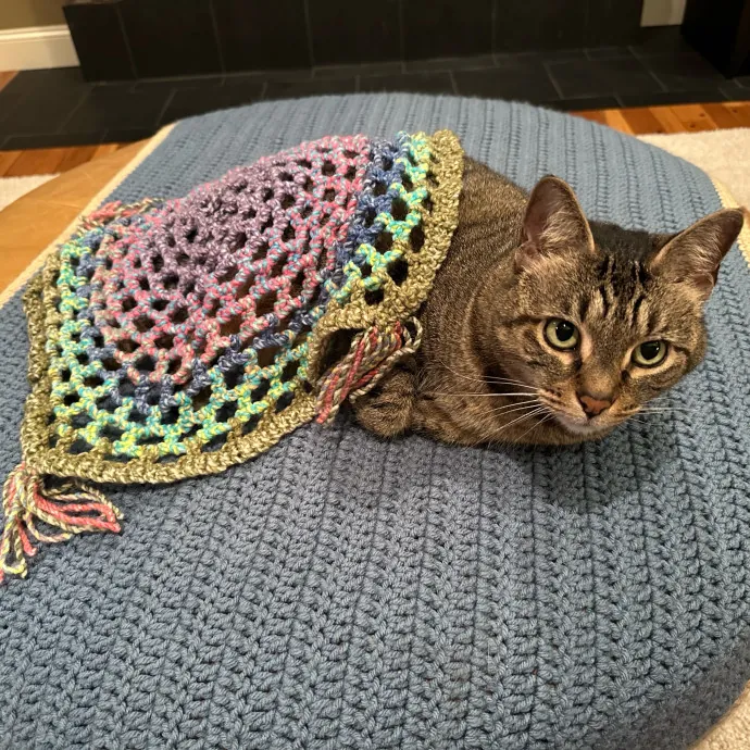 Susan's Kitten Sittin'