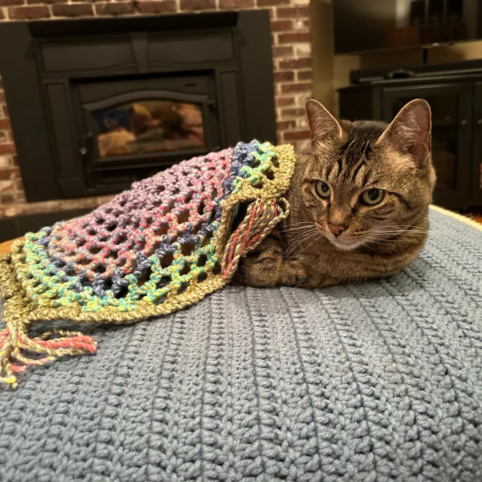 Susan's Kitten Sittin'