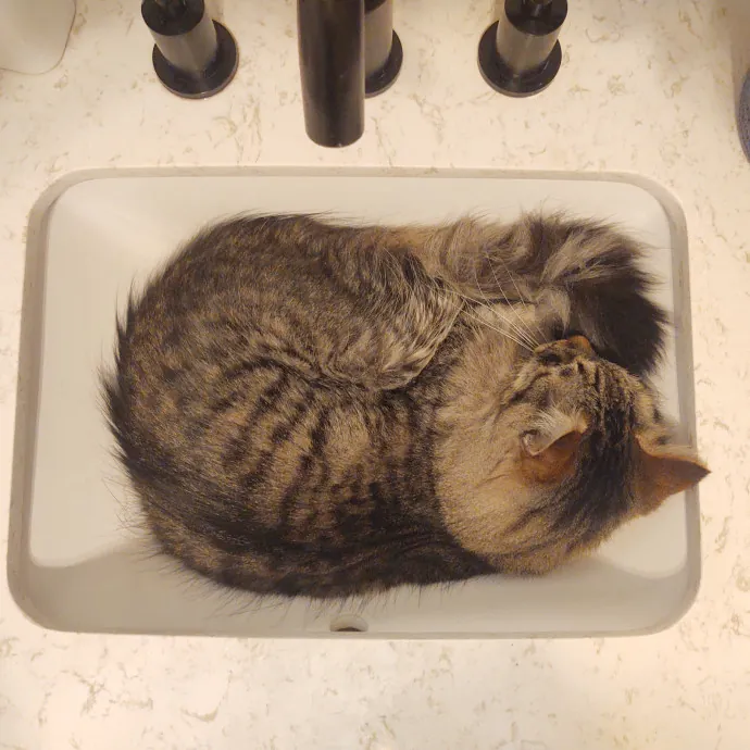 The Whisker Whisperer