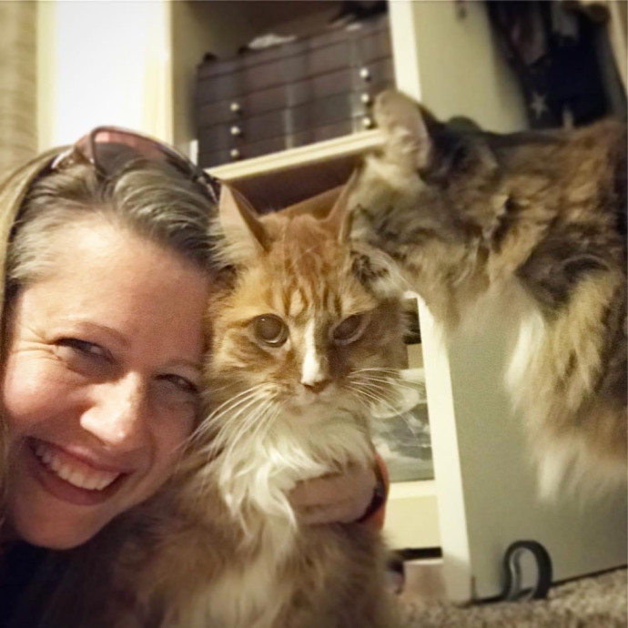 Purrrrrfect Caregiver For Your Cats