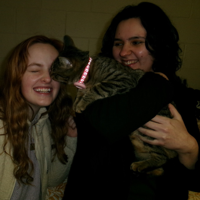 I Love Any And All Cats 3