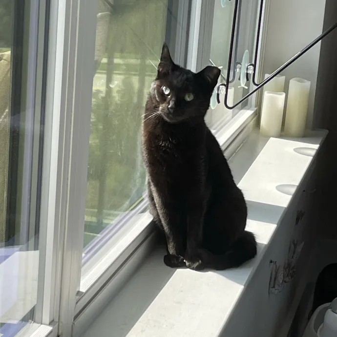 Phoebe B.