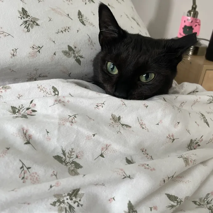 Phoebe B.