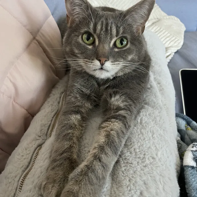 Phoebe B.