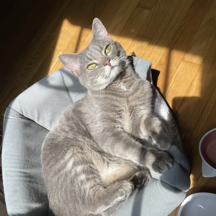 Phoebe B.