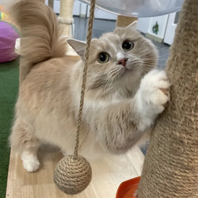 Phoebe B.