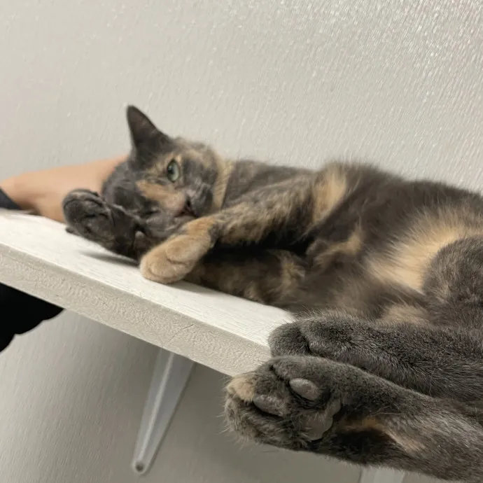 Phoebe B.