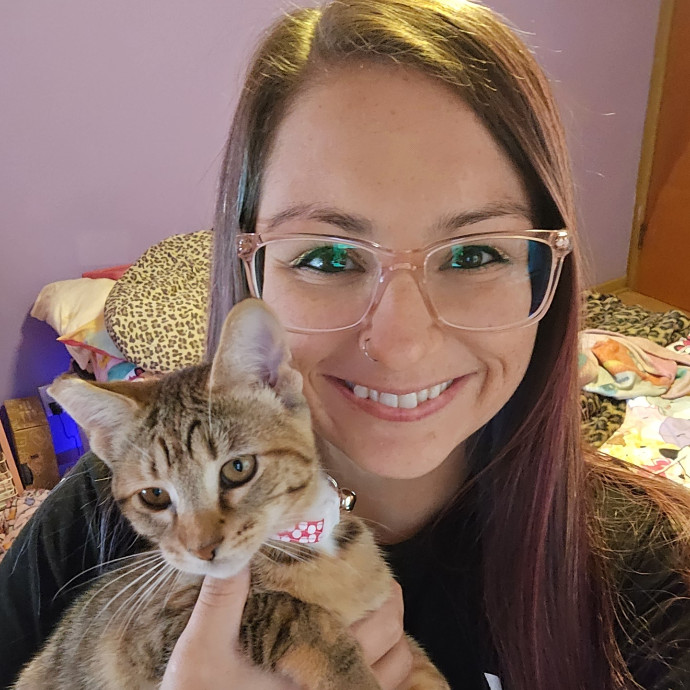 Looking For More Cats To Love