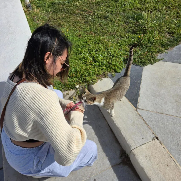 Loving Cat Sitter