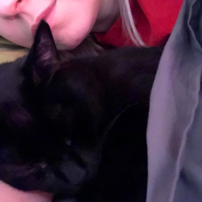 Lifelong Cat Mom To Care For Your Baby