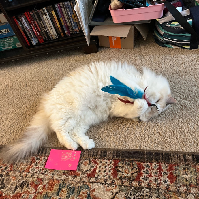 Lifelong Cat Mom To Care For Your Baby