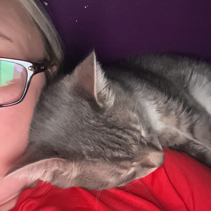 Lifelong Cat Mom To Care For Your Baby