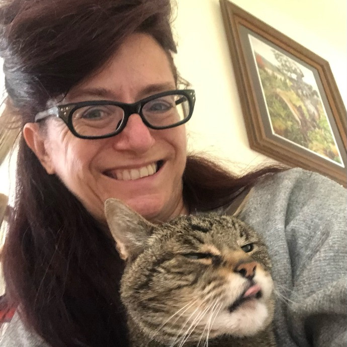 Miss Anne's Kitty Care photo 3