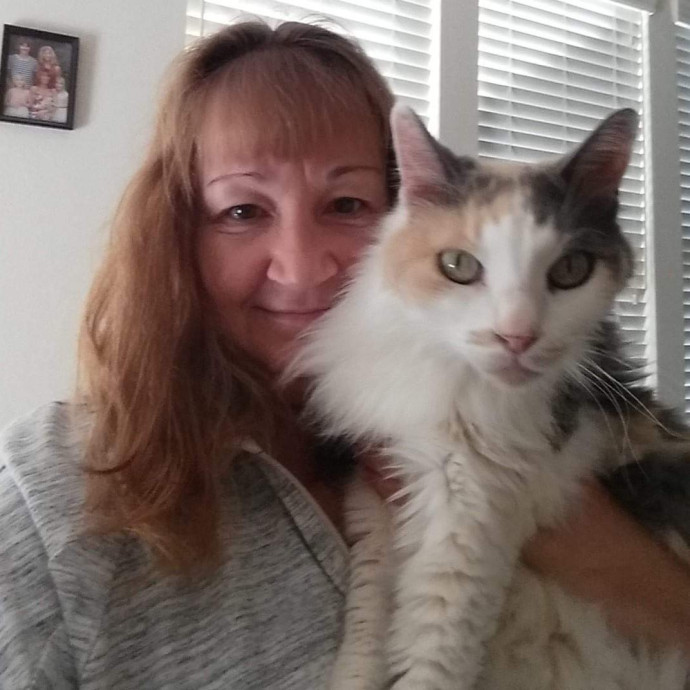 Cats' Best Friend