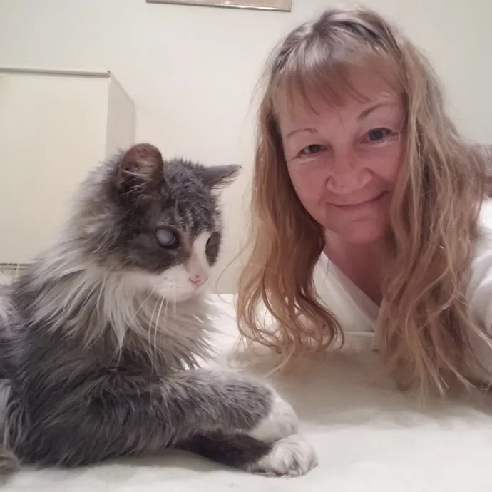 Cats' Best Friend photo 3