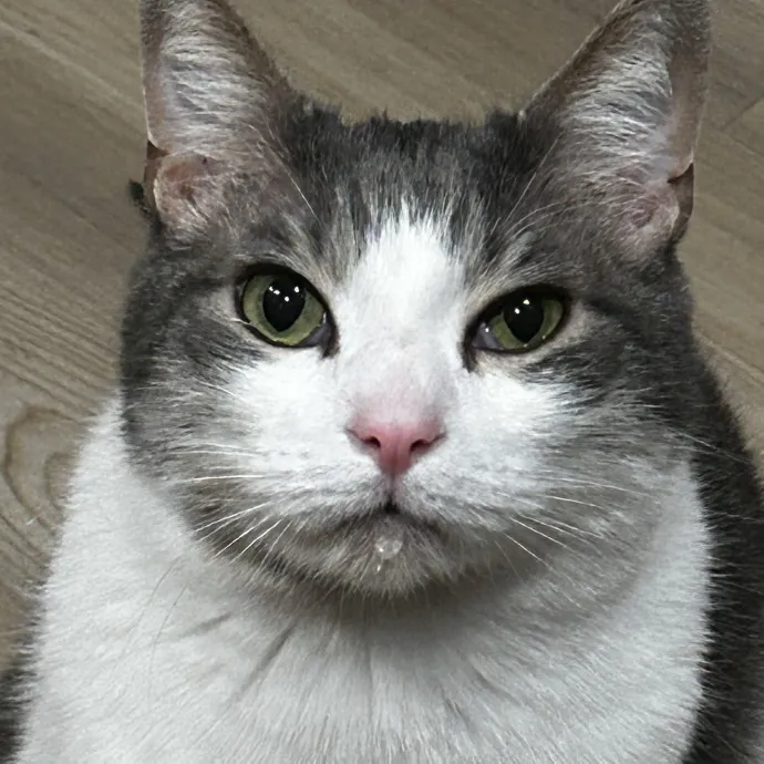 Megan F.