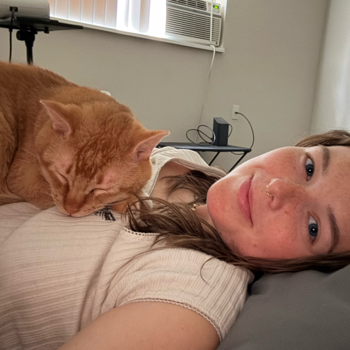 Ampurr Cat Care